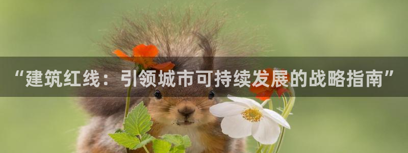 谈球吧体育app登陆不了