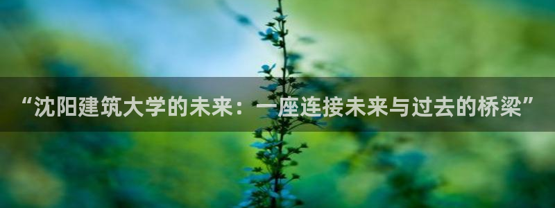 谈球吧最新APP下载