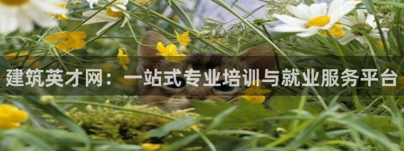 谈球吧-体育赛事