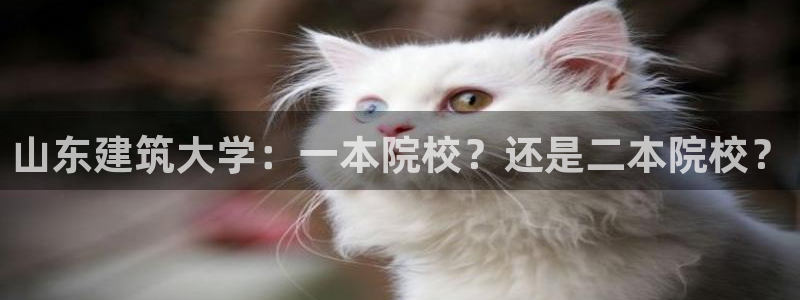 谈球吧体育app下载足球比赛视频