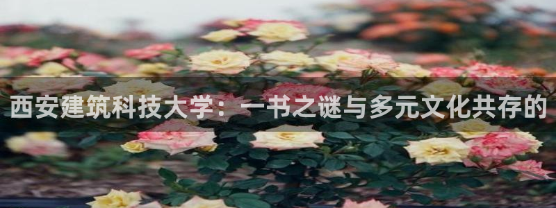 谈球吧买球提现